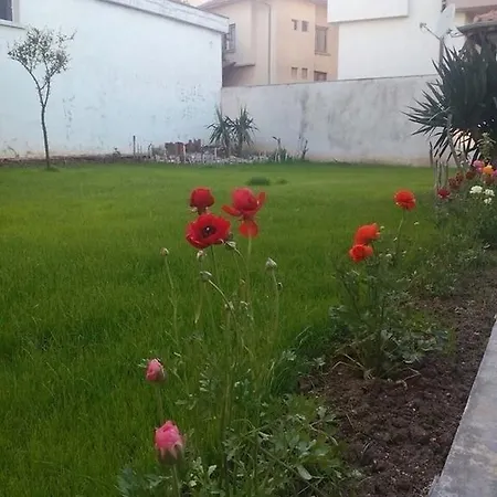 Pensiune Sofia 8 *